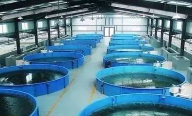 既要養好魚，又要護生態 一文秒懂《工廠化水產養殖系統》安裝指南